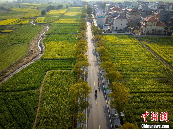 江西安义半程马拉松鸣枪开跑 六千名参赛者畅跑